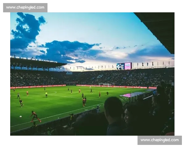 世界杯收视率分析:全球观众热情与各大赛事对比趋势解析 世界杯收视率分析:全球观众热情与各大赛事对比趋势解析